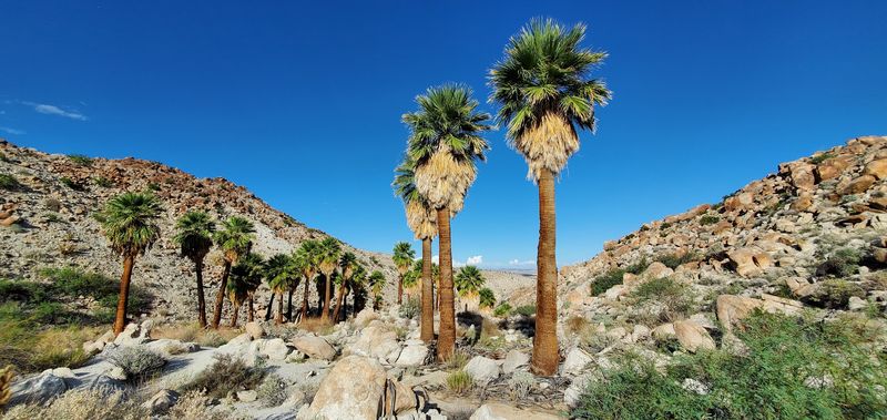 Anza-Borrego Desert State Park - California