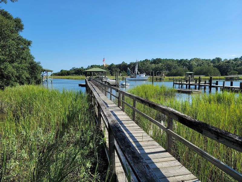 McClellanville - McClellanville, South Carolina