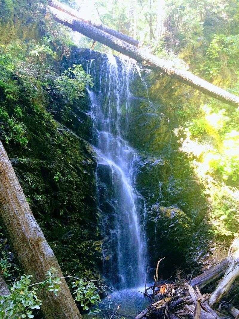 Berry Creek Falls Trail - California