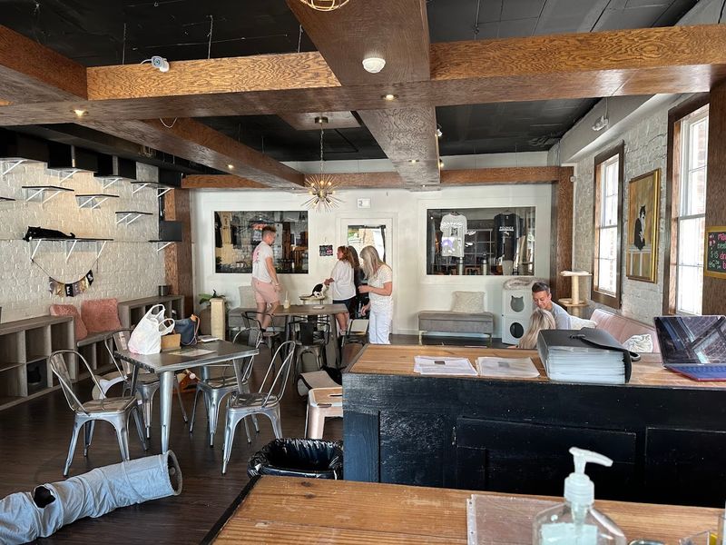 The Cozy, Living Room Atmosphere Inside