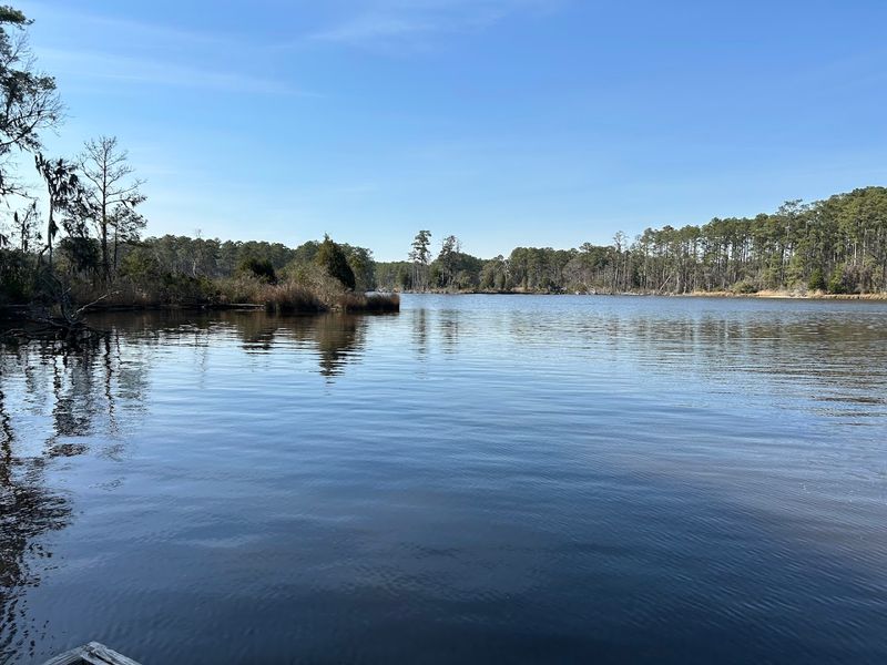 Goose Creek State Park - Washington, North Carolina