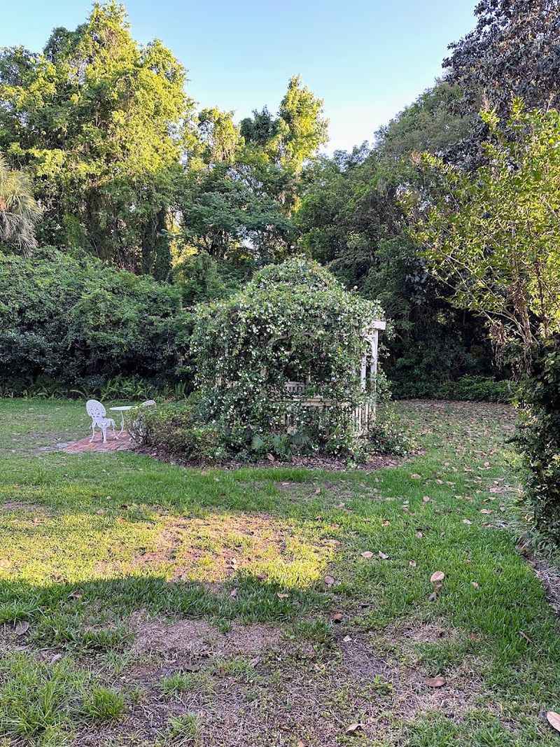 Birdwatching Around Micanopy