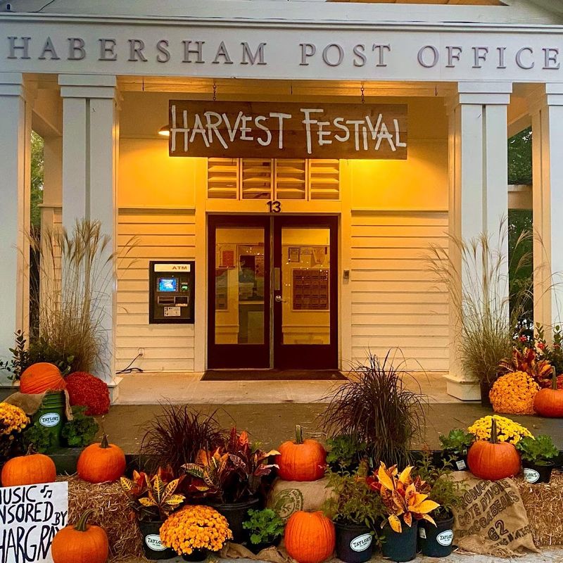 Antique Postcards and Paper Ephemera