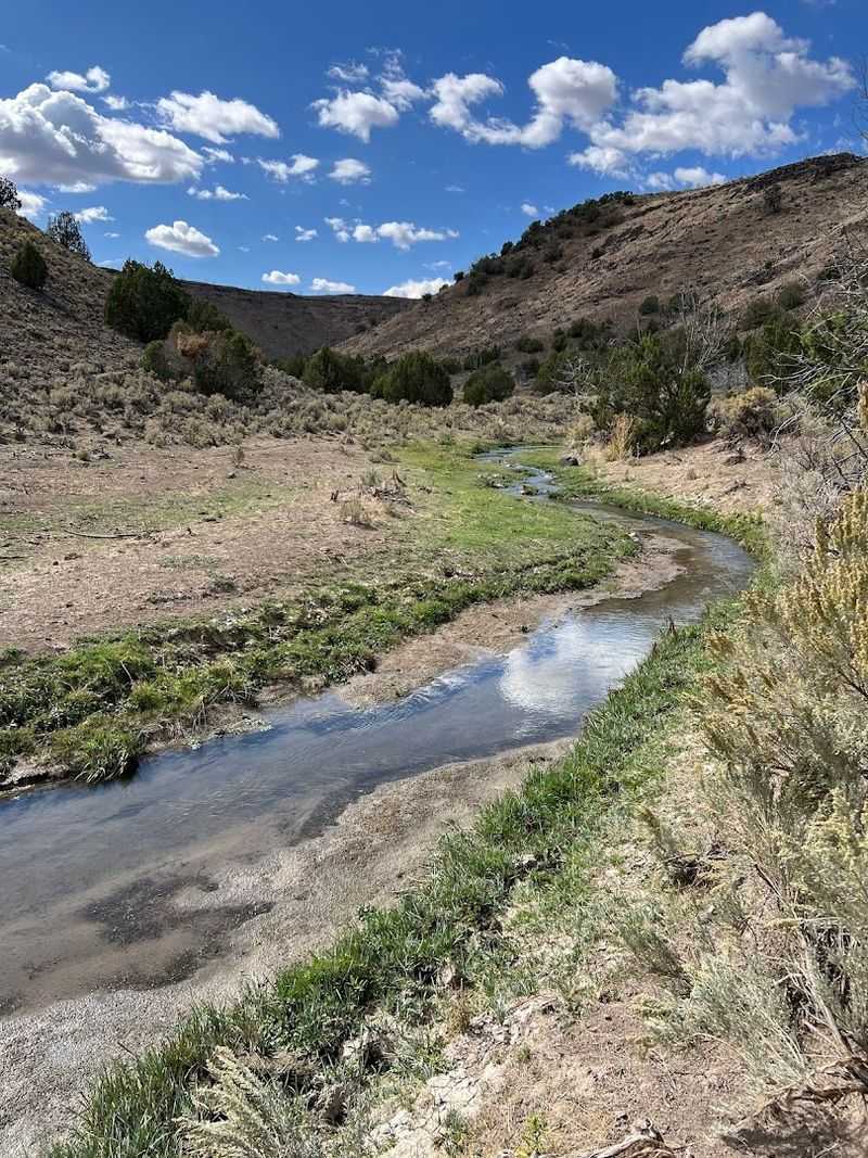 A beautiful and affordable small town in Nevada that retirees say they wish they found earlier 7 Hunting and Fishing That Draws Sportsmen From Across the Country