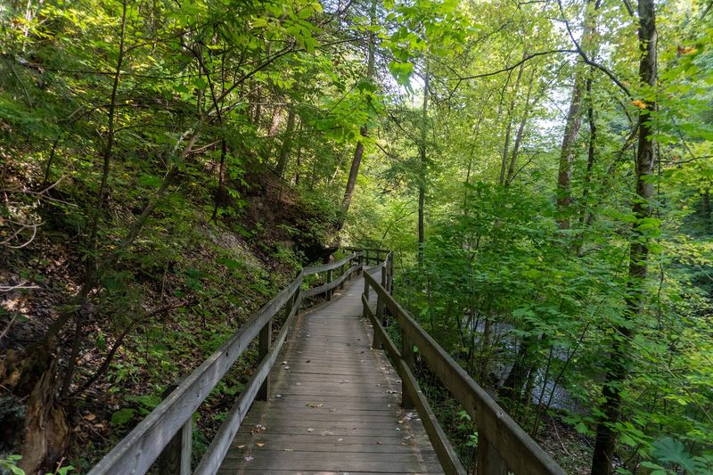 Miles of Scenic Walking and Hiking Trails