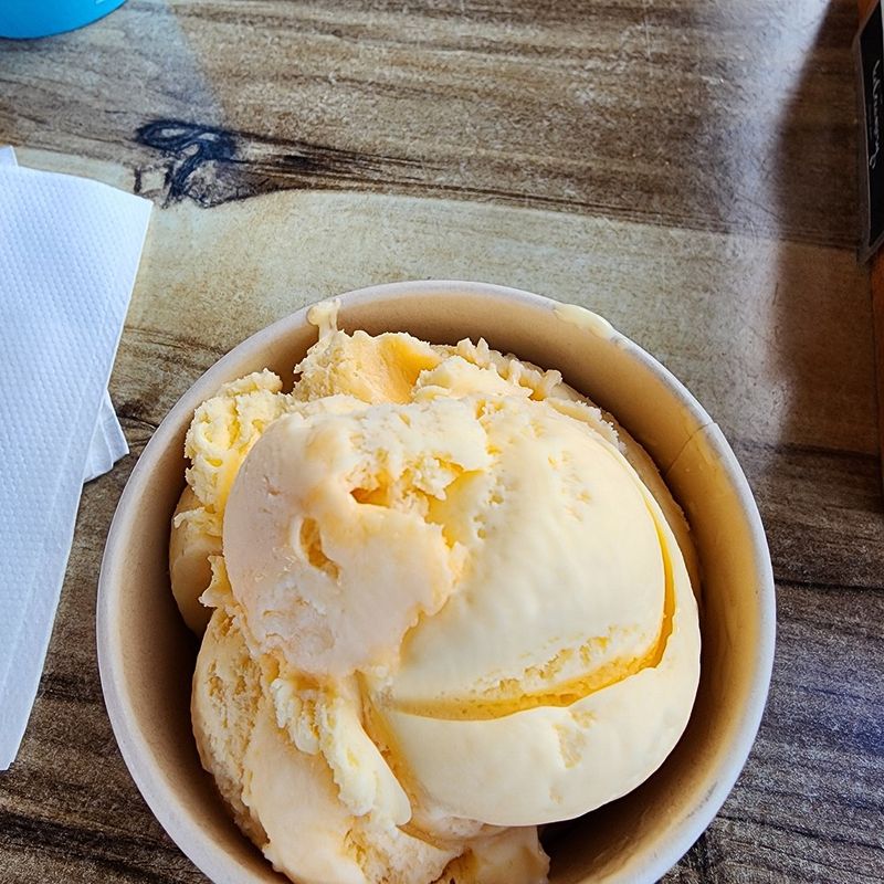 Vanilla ice cream
