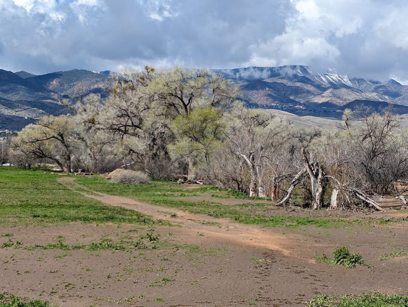 Mingus Mountain: High-Altitude Escape Above the Desert