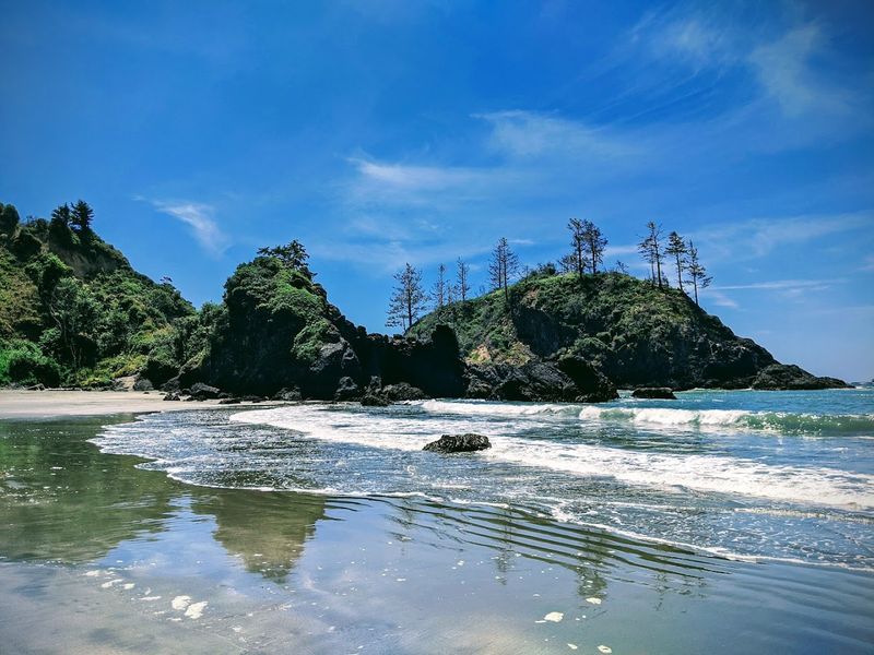 California Dog Beaches That Make Every Trip Better With Your Pup 19 College Cove Beach - Trinidad, California