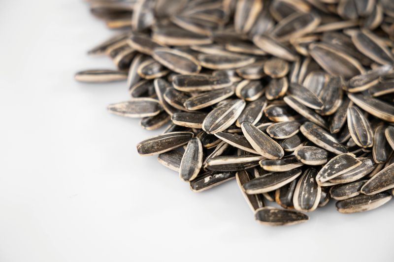 Sunflower seeds