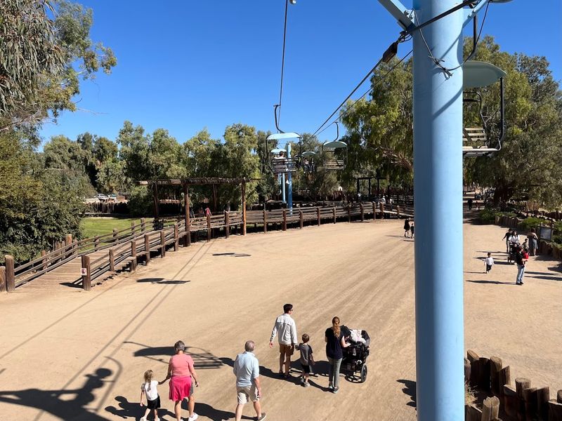 Log Ride and Amusement Attractions