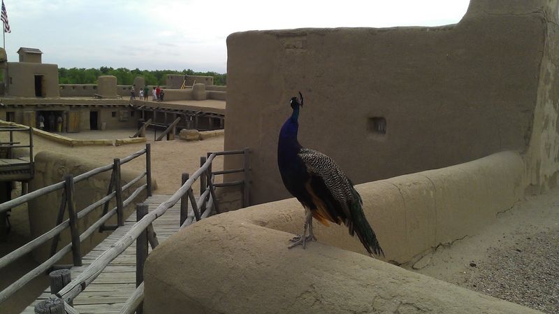 La Junta - La Junta, Colorado