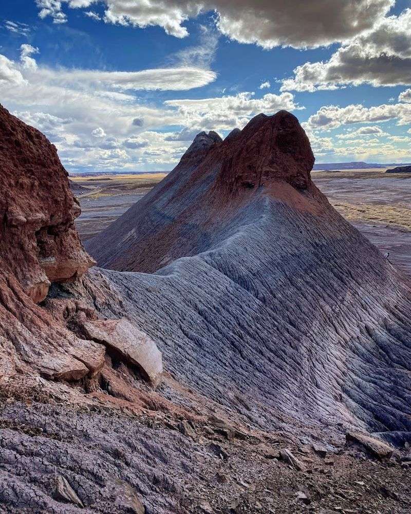 Petrified Forest National Park - Petrified Forest National Park, Arizona