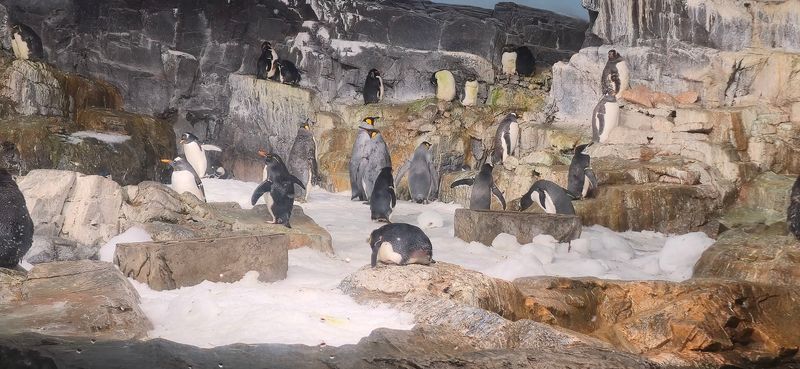 SeaWorld San Antonio - San Antonio, Texas