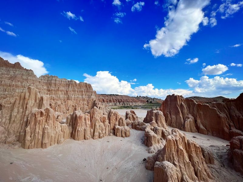 The Juniper Loop Trail: A Hike Worth Every Step