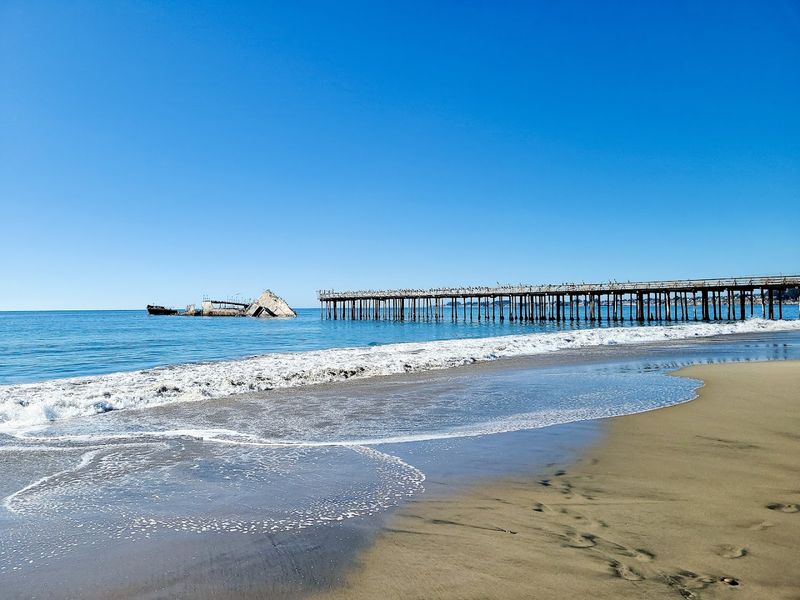 California Dog Beaches That Make Every Trip Better With Your Pup 15 Seacliff State Beach - Aptos, California