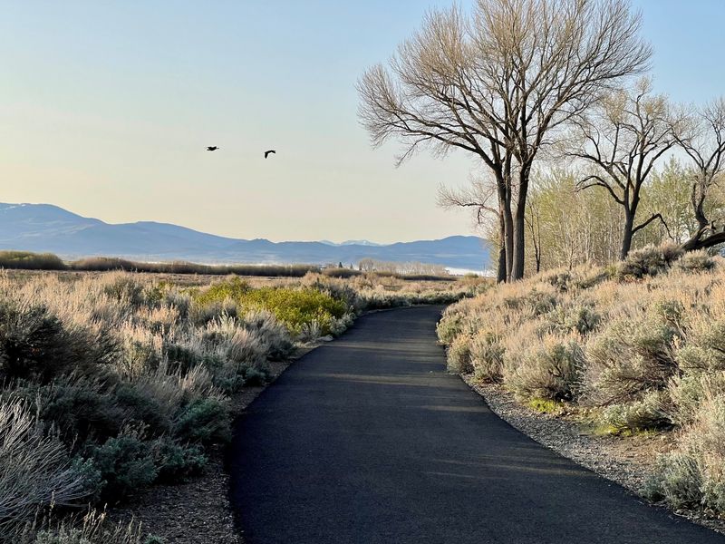 Breathtaking Views of the Sierra Nevada Mountains