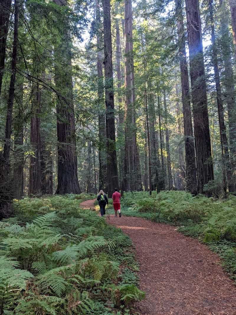 The Lollipop Trail Layout That Keeps Things Interesting