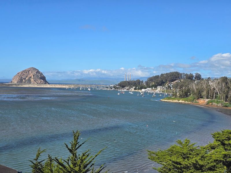 Morro Bay State Park: Where Nature Does All the Work