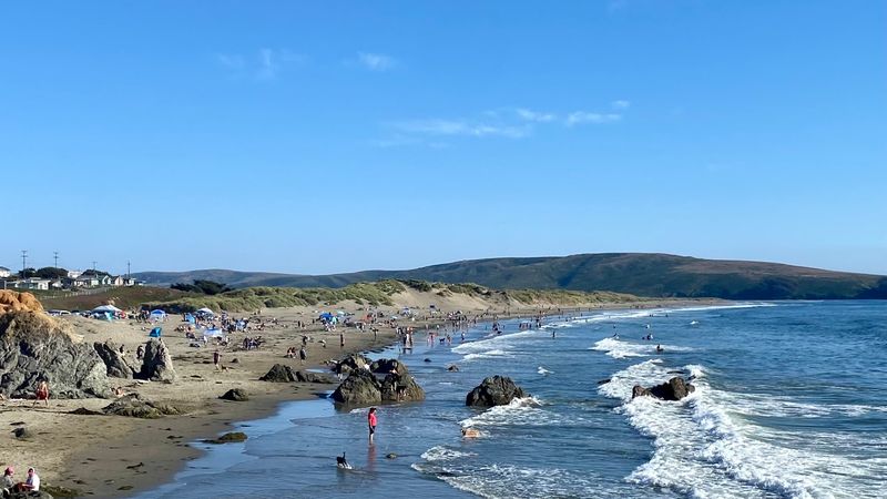 California Dog Beaches That Make Every Trip Better With Your Pup 12 Dillon Beach - California