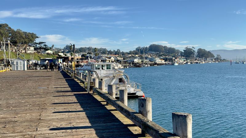 Local Art Scene: Creativity With a Coastal Flavor