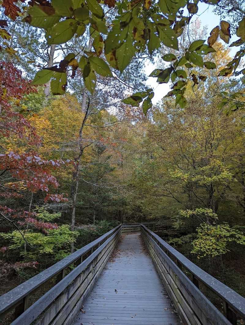 Raven Rock State Park - Lillington, North Carolina