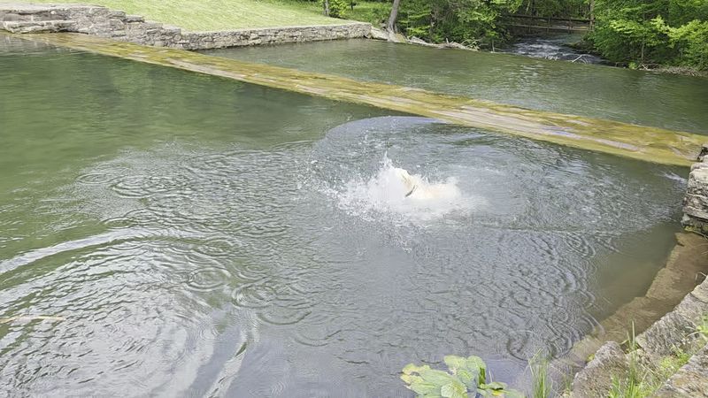 This Little-Known Pennsylvania State Park Feels Like Your Own Private Escape 12 Dog-Friendly Trails That Local Pet Owners Absolutely Love