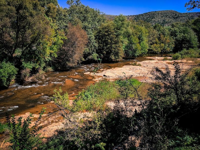 This Beautiful Arizona State Park Is Perfect For Letting Go Of Stress 9 Picnicking and Relaxing by the River
