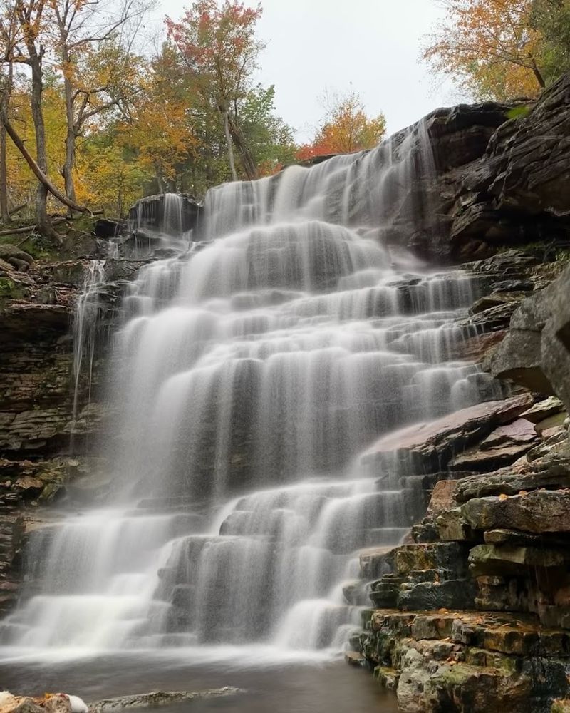 Wildlife Encounters: Nature Surprises Around Every Bend