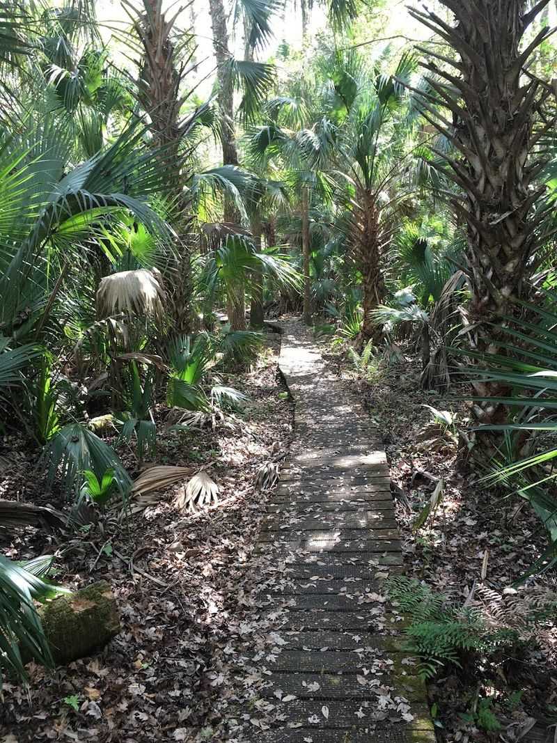 Connecting to the Florida National Scenic Trail