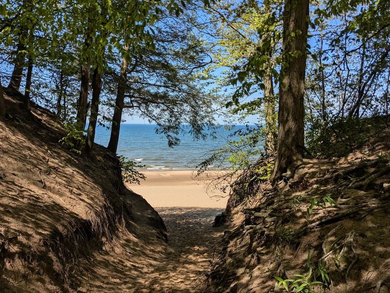 Saugatuck Dunes State Park - Holland, Michigan