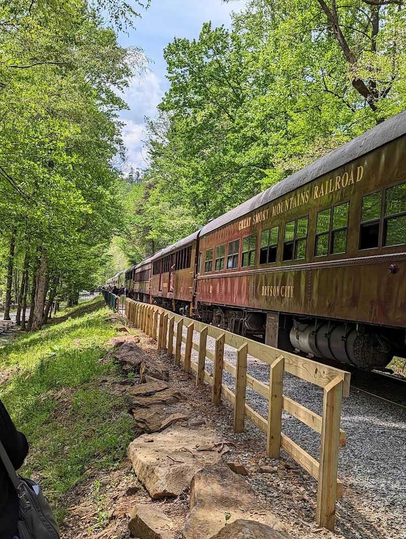 Open-Air Cars That Bring You Closer to Nature