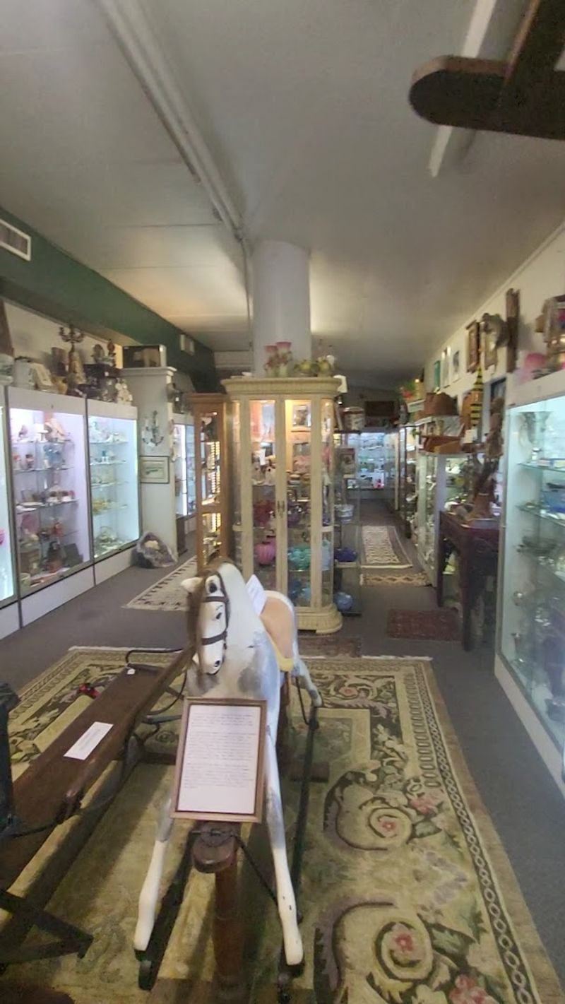 Polished Rocks, Minerals, and Natural Curiosities