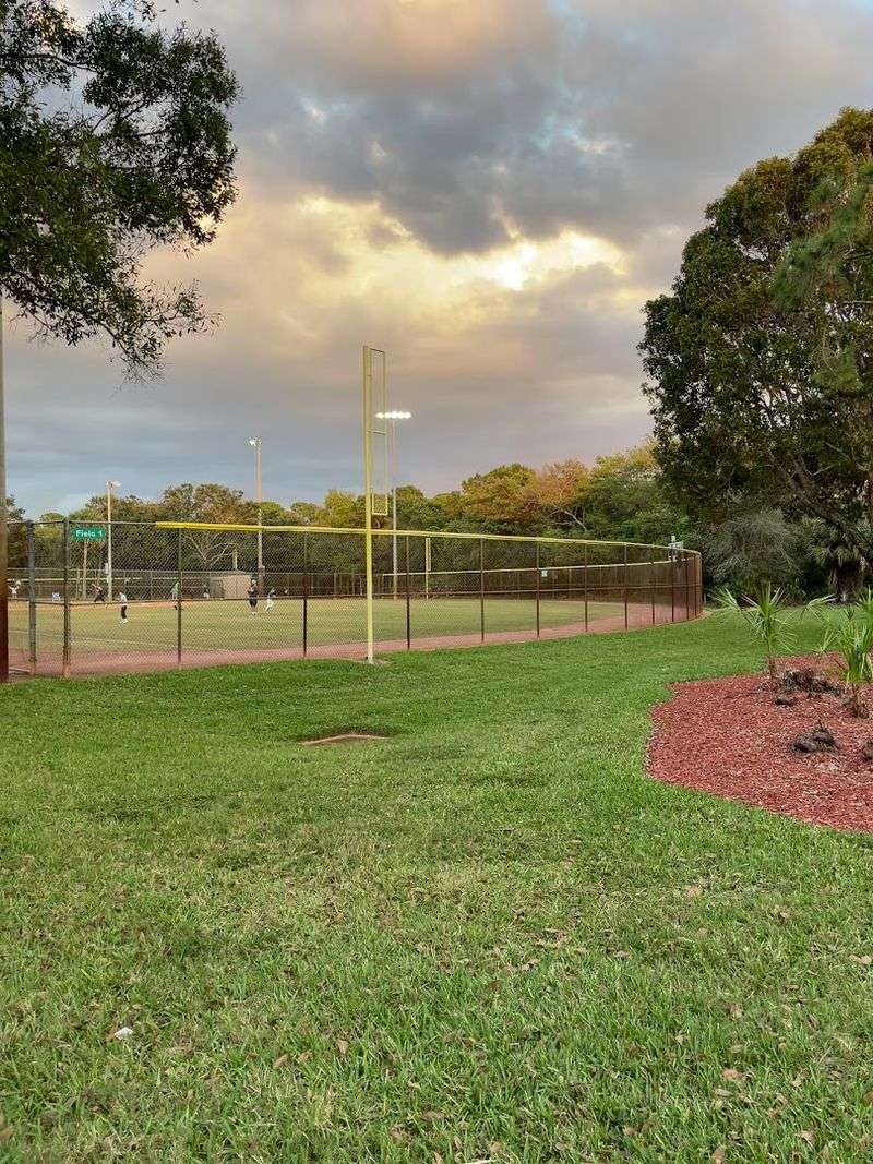 Baseball Fields and Sports Courts