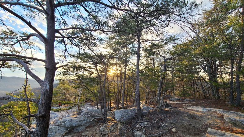 Nearby Accommodations and Local Exploration