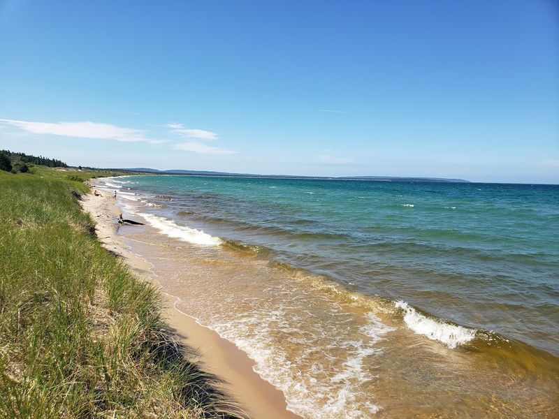 Petoskey Stone Hunting for Rock Collectors and Curious Explorers