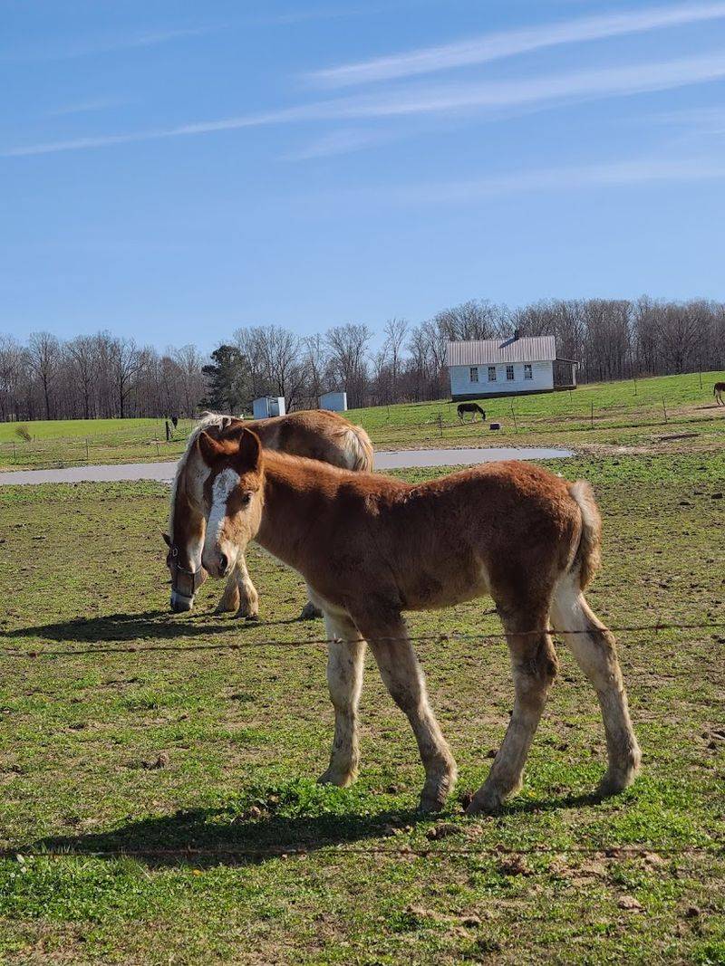 Best Time of Year to Visit Ethridge