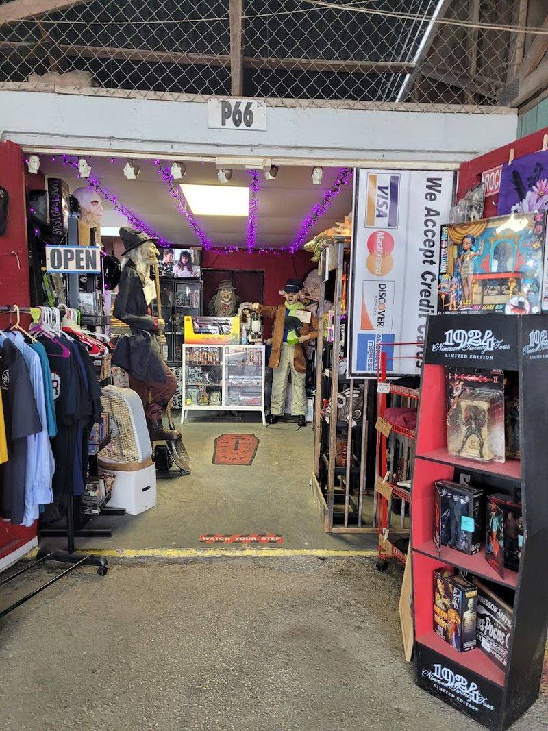 Vinyl Records and Plant Shops for the Free-Spirited Shopper