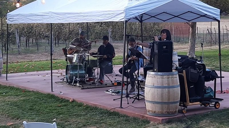 Live Music That Sets the Perfect Mood