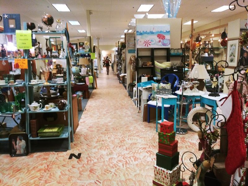 New Arrivals Keep Every Visit Feeling Fresh