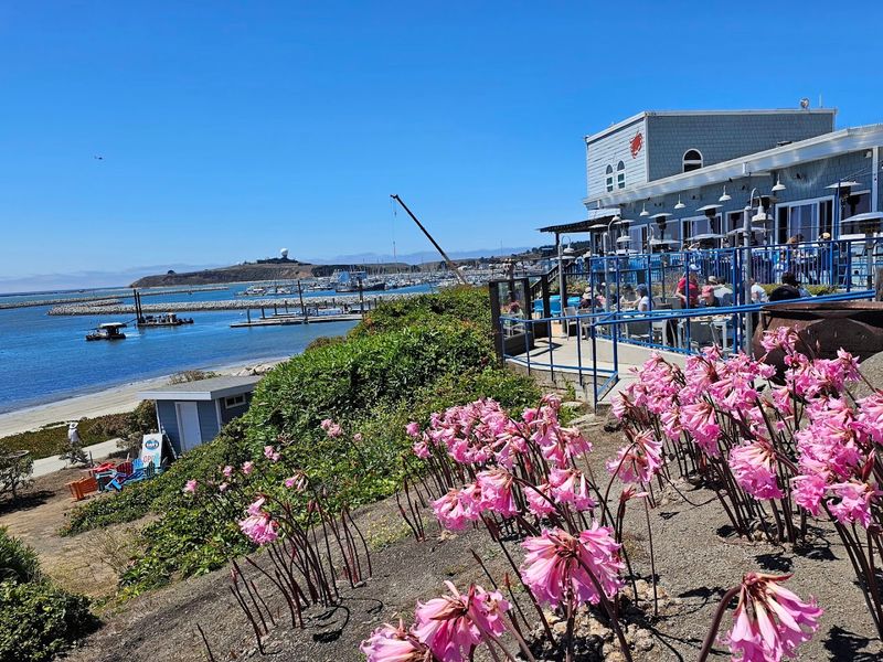 Sam's Chowder House - Half Moon Bay, California