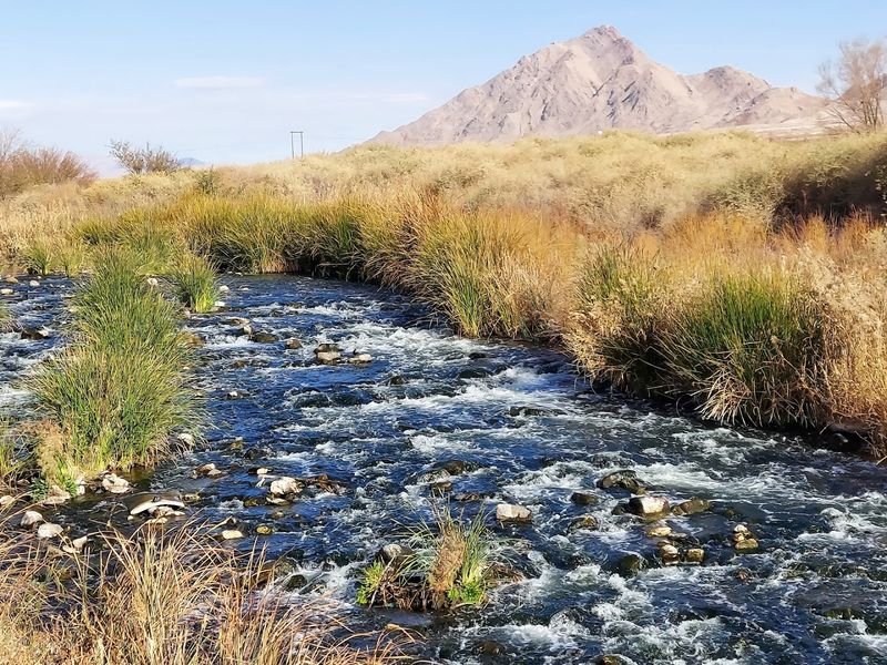 The Las Vegas Wash: Water in the Desert