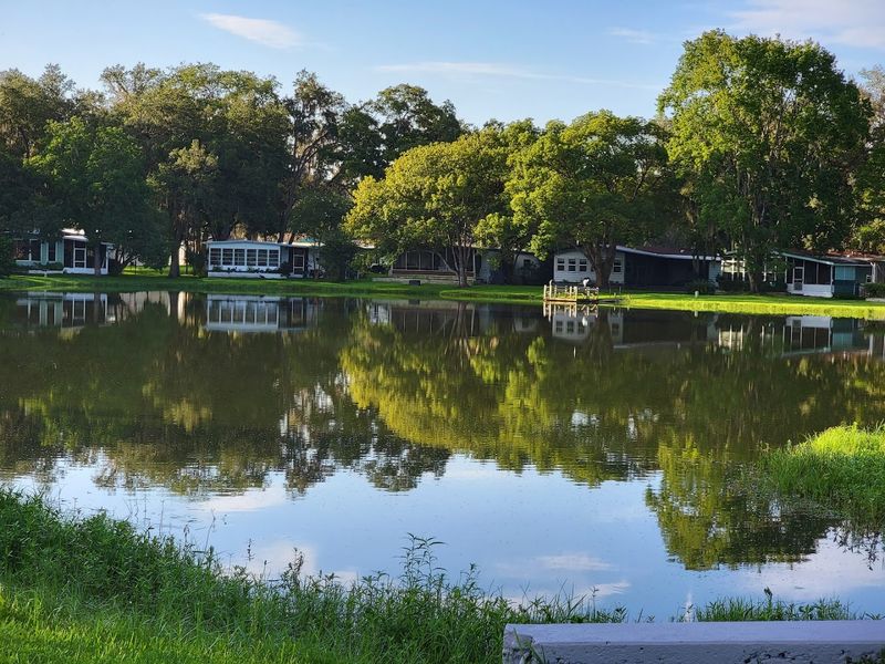 A charming Florida town where Social Security can cover your living costs 12 Senior Discounts Are Widely Available Around Town