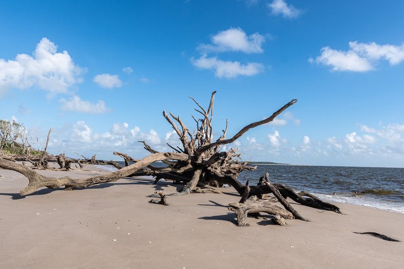 A Photographer's Dream Location