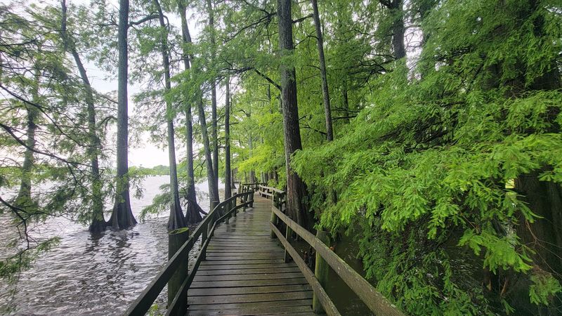 Reelfoot Lake State Park - Tiptonville, Tennessee