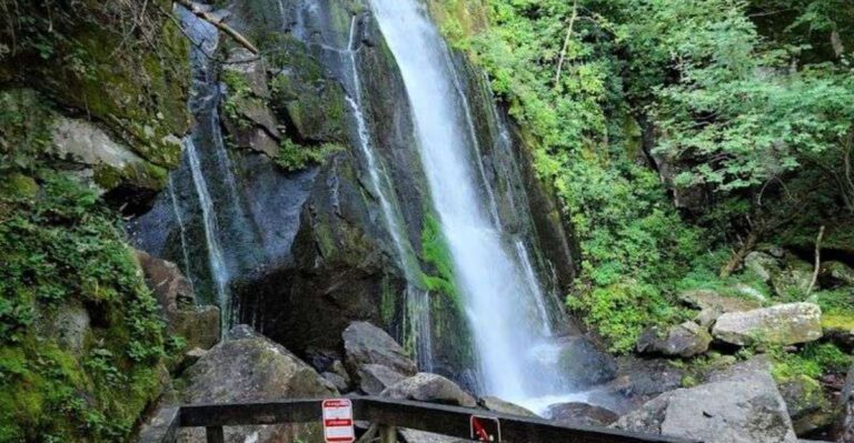 North Carolina State Parks That Offer National Park Beauty Without the Crowds