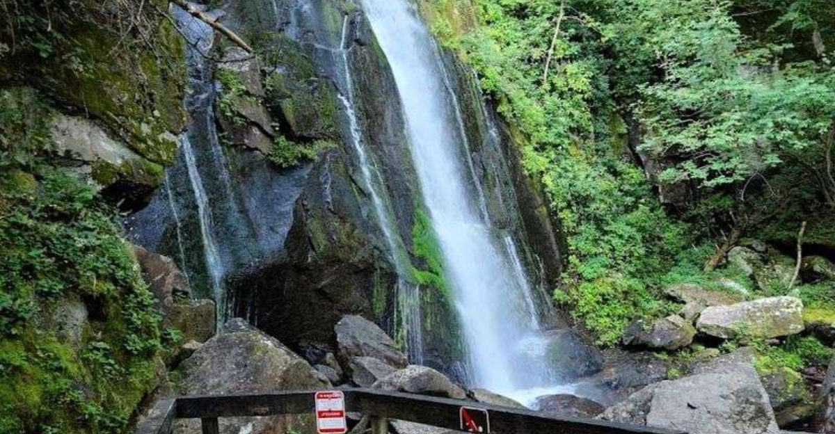 North Carolina State Parks That Offer National Park Beauty Without the Crowds