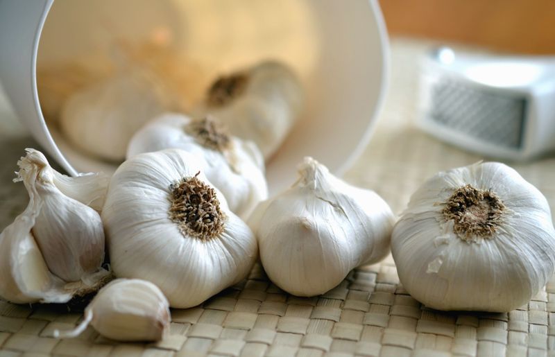 Garlic