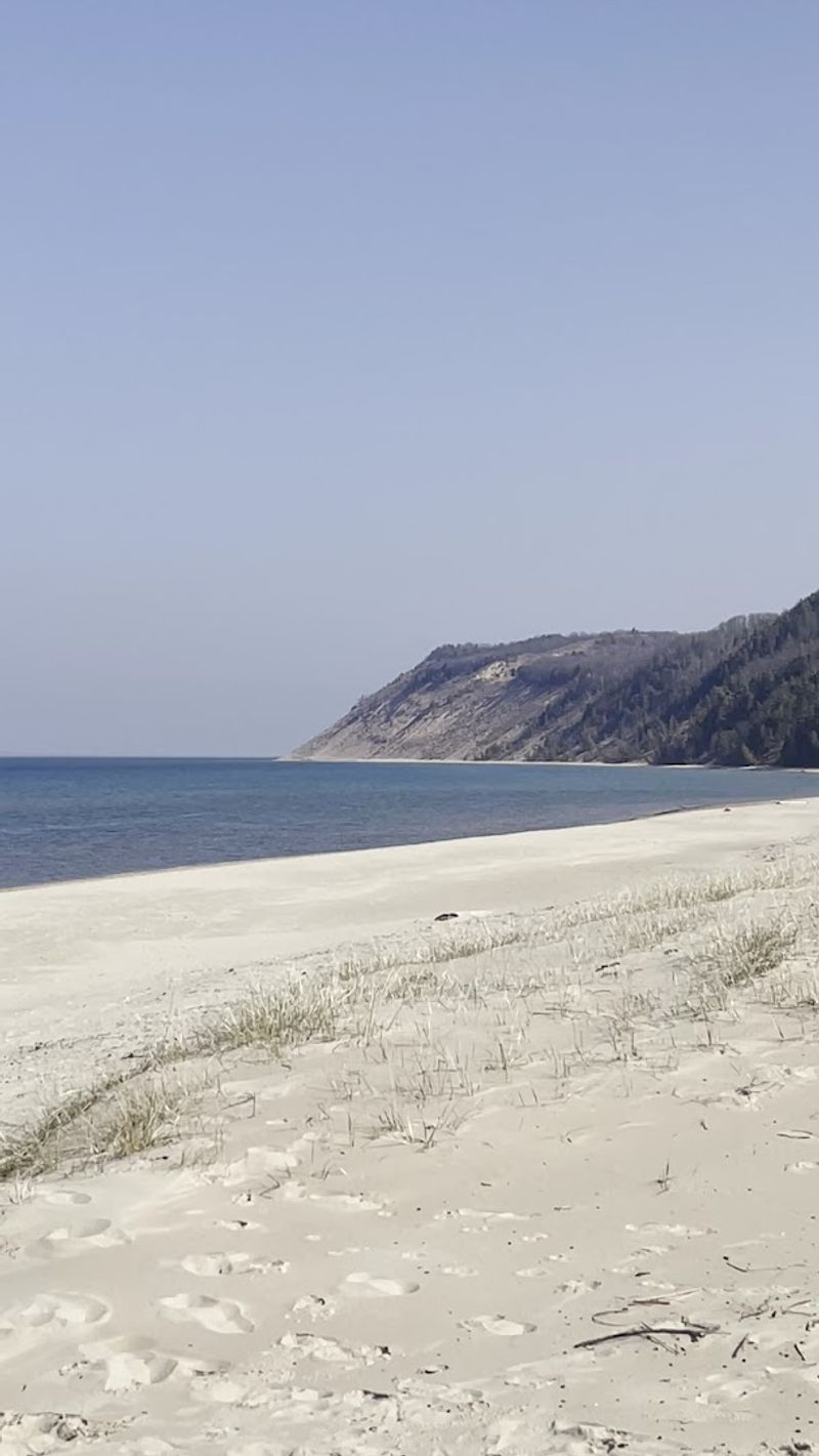 Wildlife and Nesting Plovers That Remind You Nature Comes First