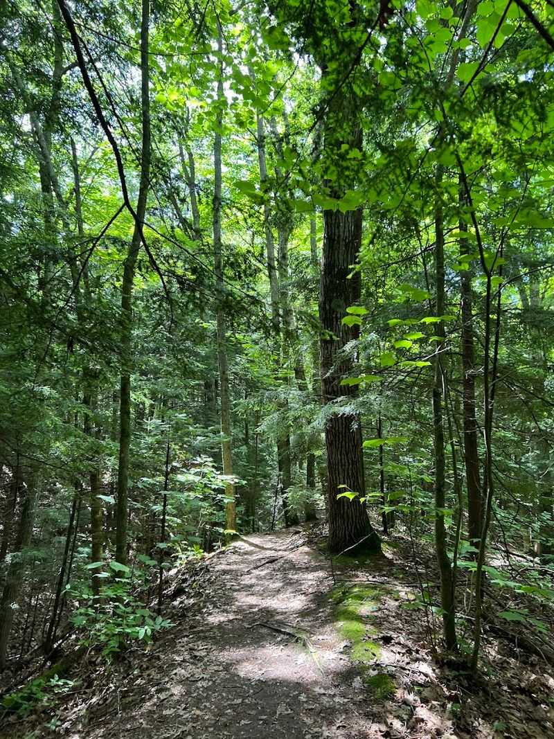 Park Amenities That Make Every Visit Comfortable