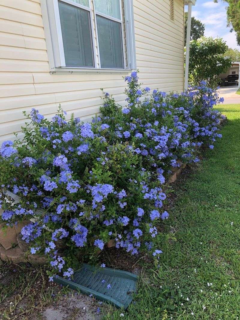 Florida Cities Where Rent Still Falls Below $900 a Month 15 Fellsmere, Florida